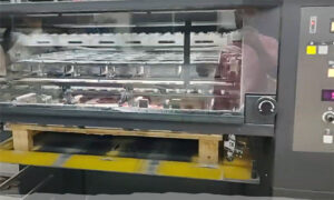 Lee más sobre el artículo Cómo la tecnología ha mejorado la calidad y velocidad de producción con la Impresión Offset